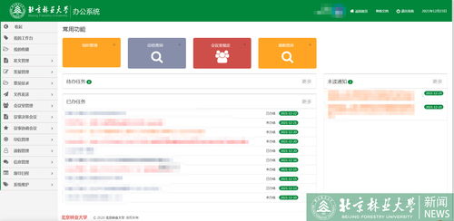 学校行政办公能力现代化提升计划