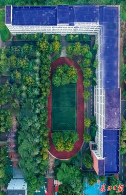 大学生航拍“数字校园”倒计时向祖国致敬