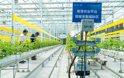 从中国移动2022年上半年财报透视移动云发展“引力”