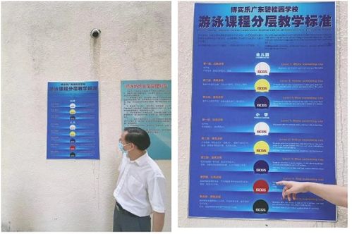 创下数个ib第一的学校竟藏在顺德 我被 广东碧桂园学校 震惊了