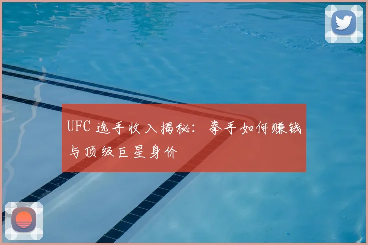 UFC 选手收入揭秘：拳手如何赚钱与顶级巨星身价
